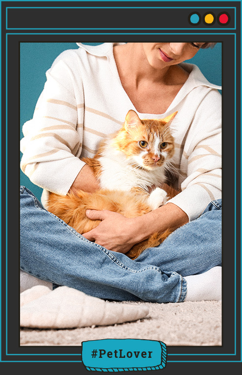 estrés en gatos por cambios en horarios